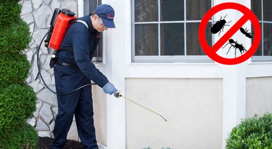 Beşiri Fare İlaçlama böcek ilaçlama ve haşere kontrolü — ilaclama-tr.com